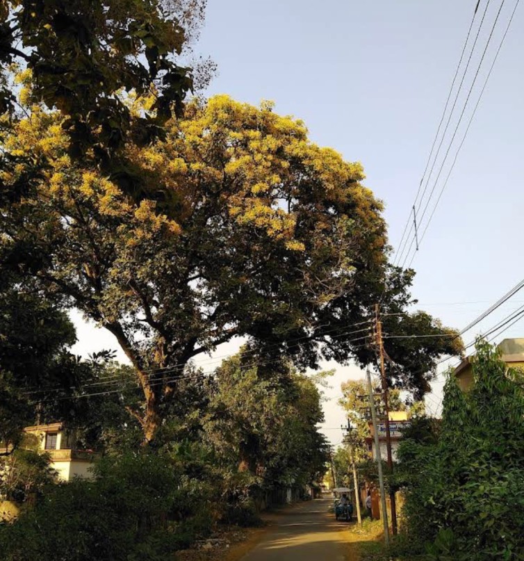Ratanpally 3 rd   image