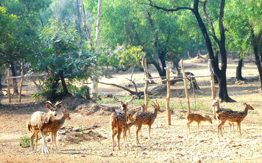 Ballavpur Wildlife Sanctuary - offbeat Santiniketan