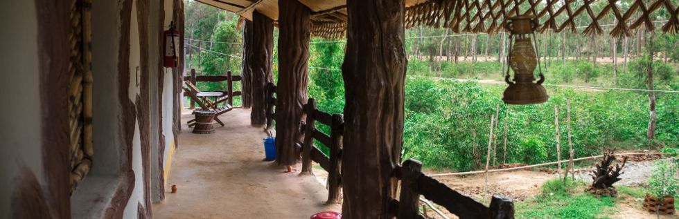 Walkways and small gardens across the property